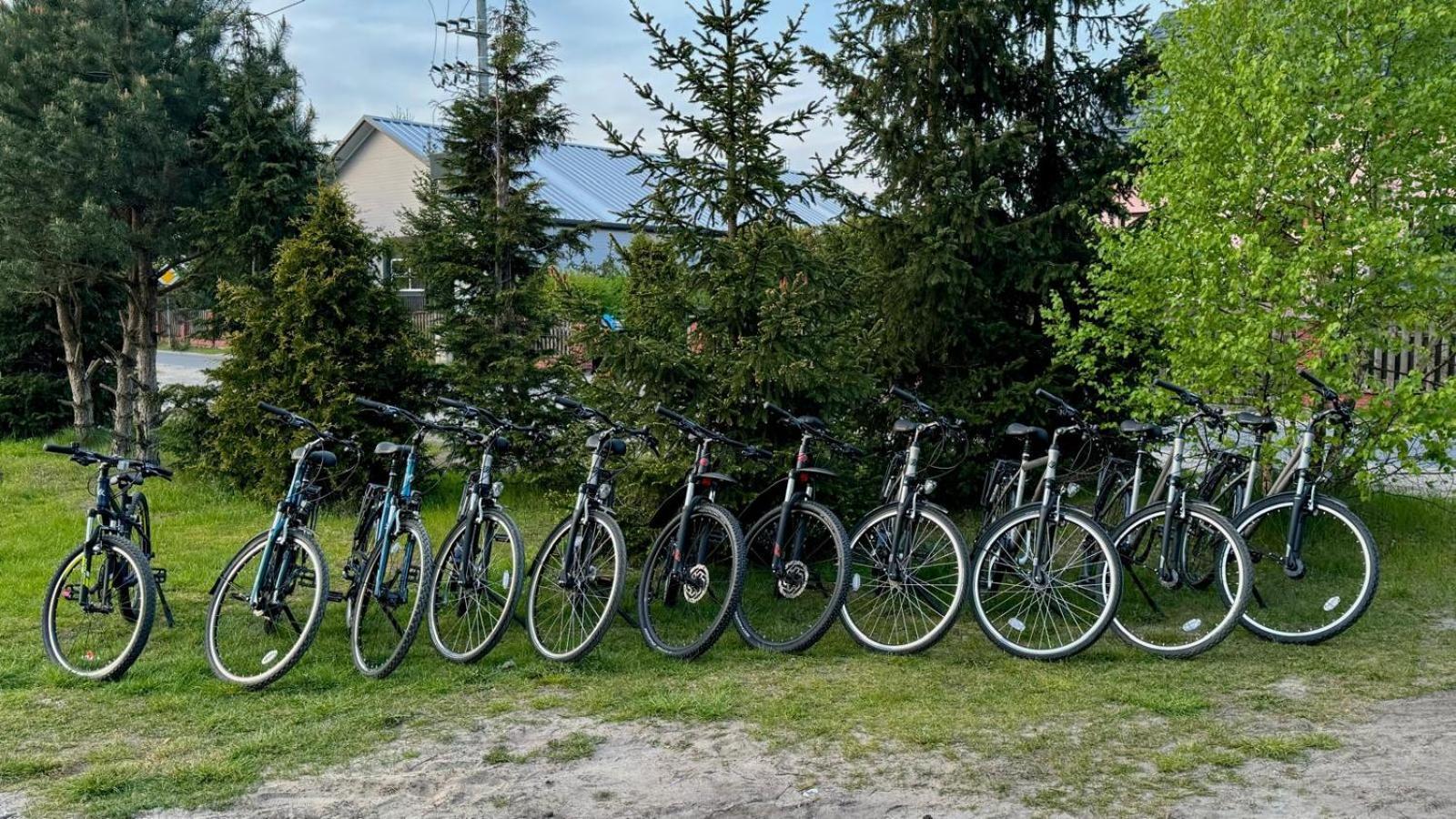 Domki Wypoczynkowe Las Śliwice Esterno foto